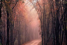 VSport胜利:PJ-華盛頓:和大學隊友亞歷山大對位讓我很享受.