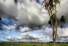 2020歐洲杯丹麥陣容名單.