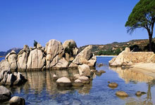 VSport胜利官方网站:2024年首都师范大学教职工乒乓球团体赛圆满结束.